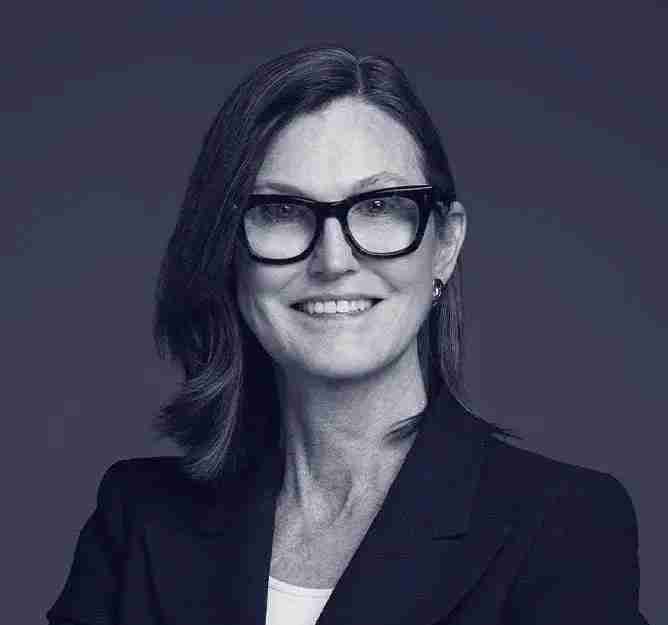 ARK Invest投资官(Cathie Wood)交易密码:如何用颠覆性创新周期捕捉最佳入场点